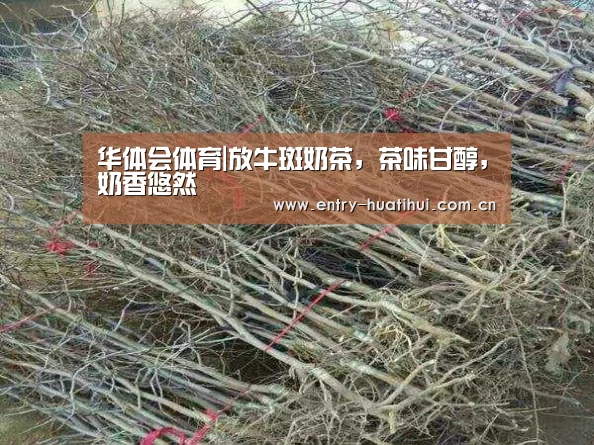 华体会