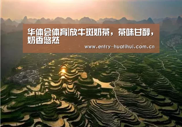华体会