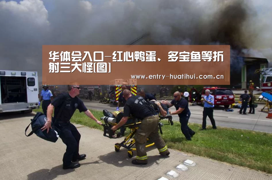 华体会体育