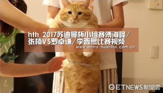 华体会