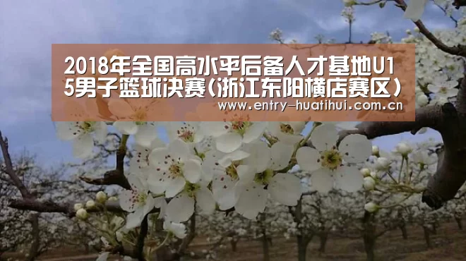 华体会体育